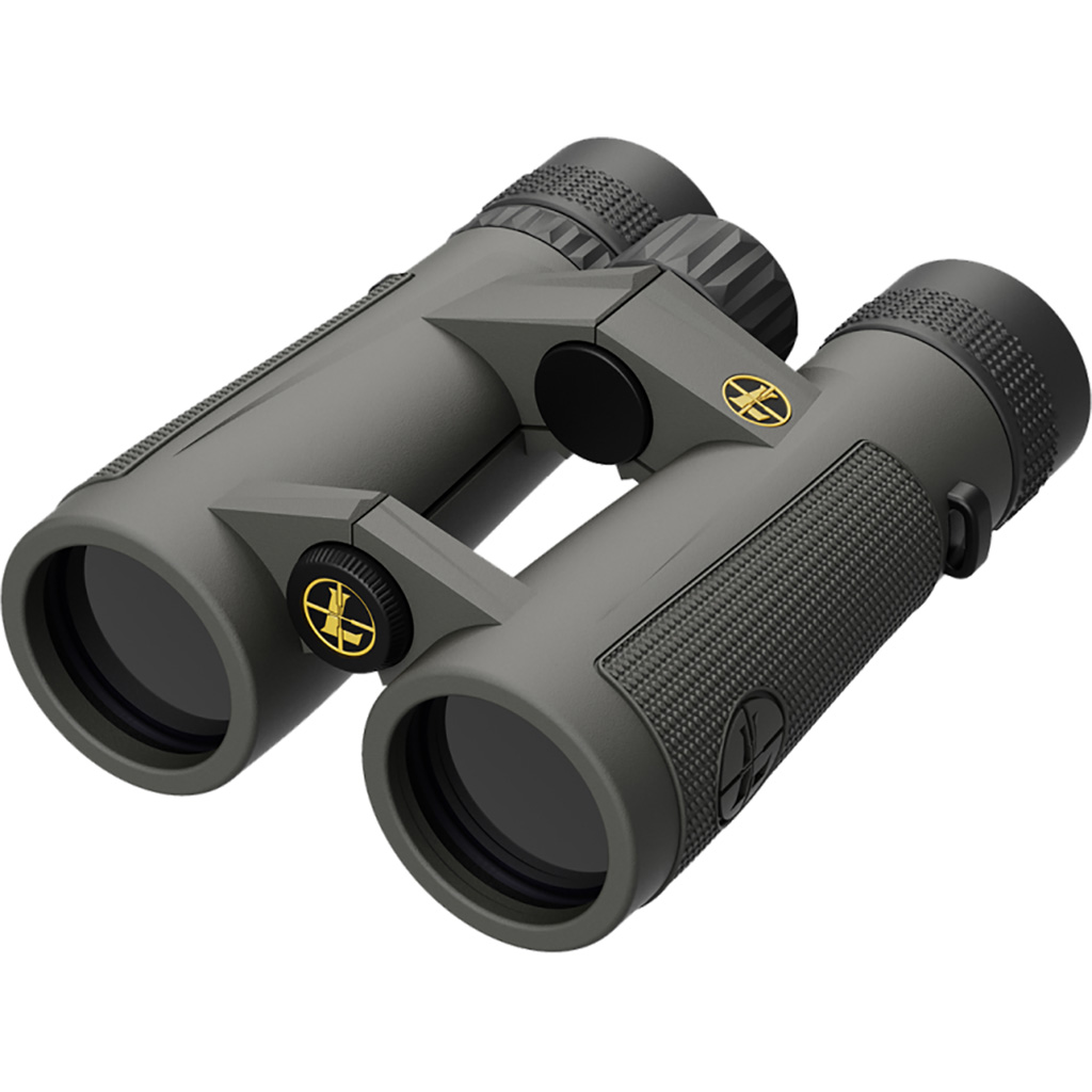 Leupold BX-5 Santiam HD 10x42mm Binoculars (Shadow Gray)