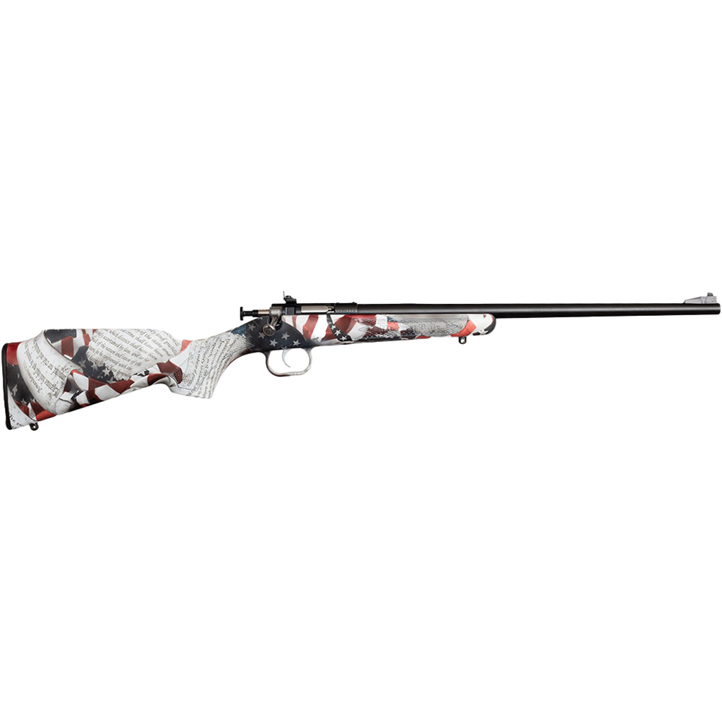 Keystone Sporting Arms Crickett KSA3168 Youth .22 LR Single-Shot Rifle