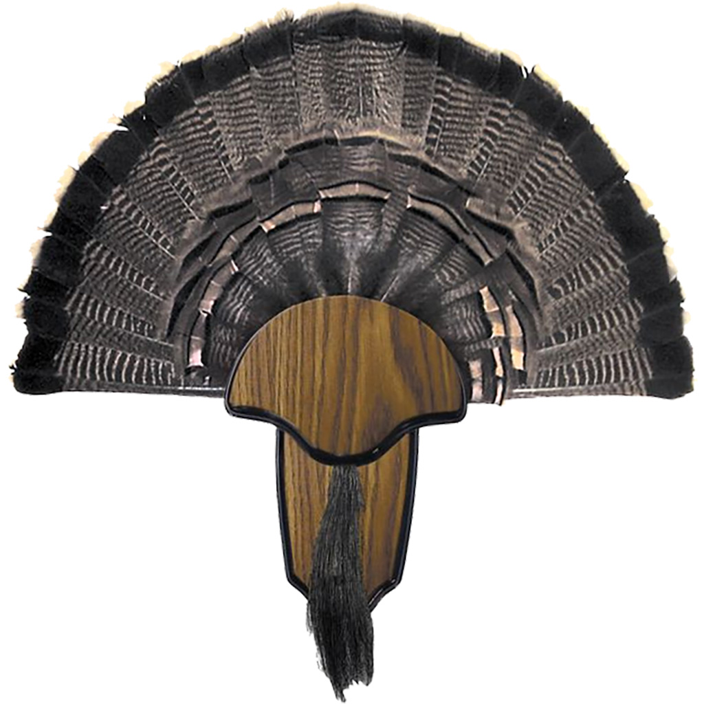 Hunters Specialties Strut 00849 Turkey Tail & Beard Mounting Kit
