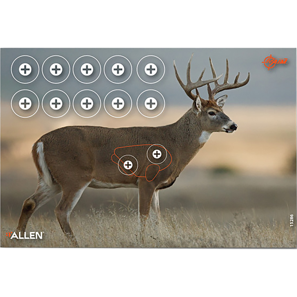 Allen EZ-Aim Four Color Whitetail Paper Target (2-Pack)