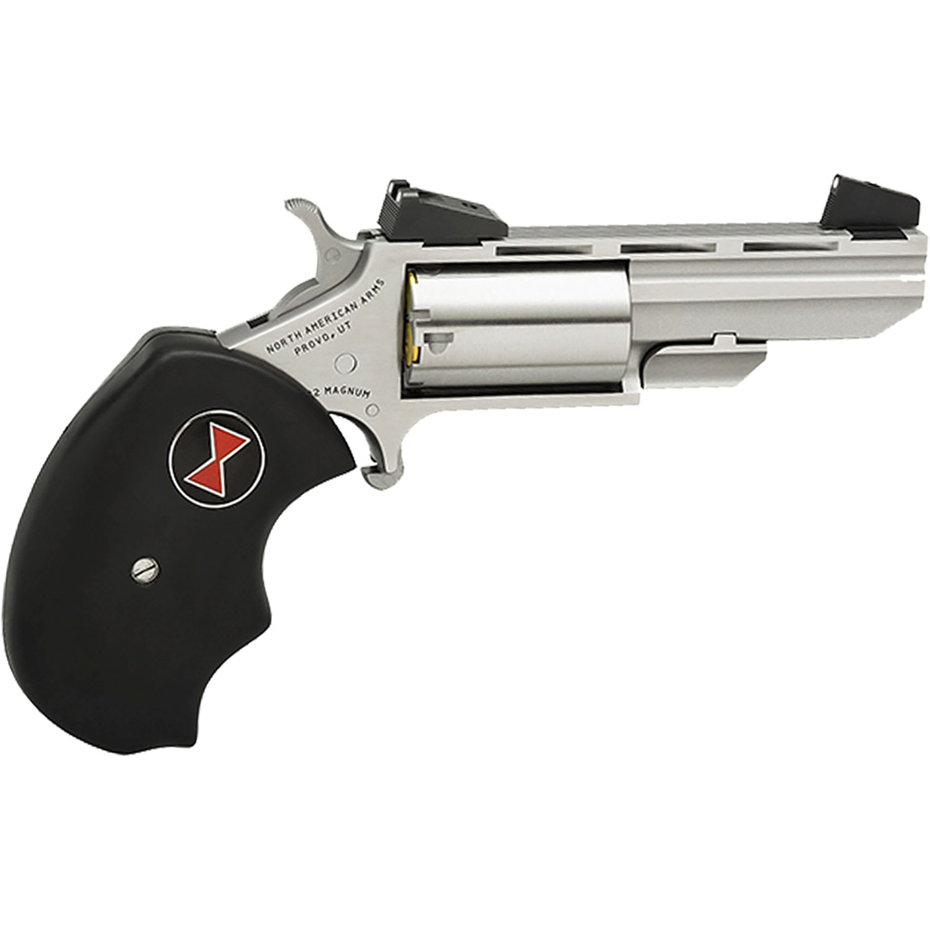 North American Arms Black Widow .22 LR Stainless/Black 2 in. 5-Shot Revolver