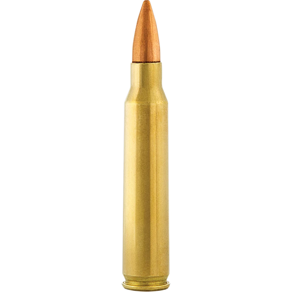 Aguila 5.56x45mm NATO 55gr FMJBT Boat Tail Bulk Pack (300 Rounds)