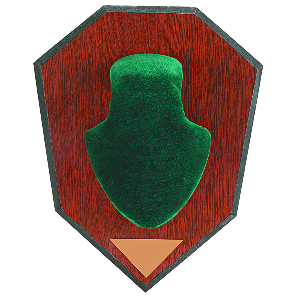 Allen Antler Mounting Kit (Green Skull) 562